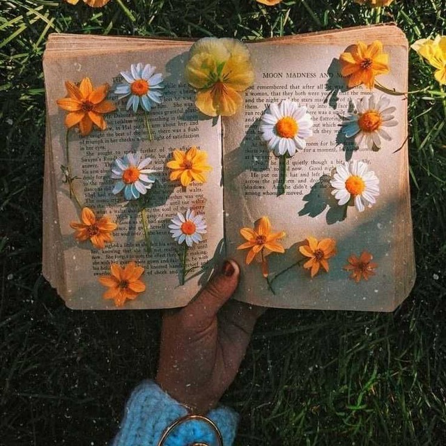 ✏•Citɑções░⃝🌻 Diάriɑs•❥