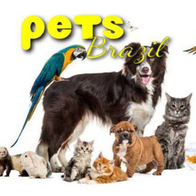 🐶Ⓟⓔⓣⓢ ​ Ⓑⓡⓐⓩⓘⓛ😻