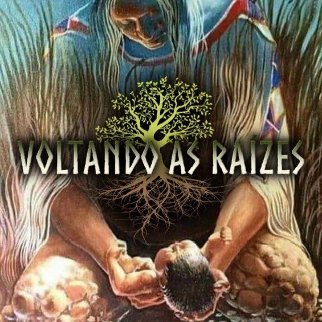 🌿VOLTANDO AS RAÍZES🌿