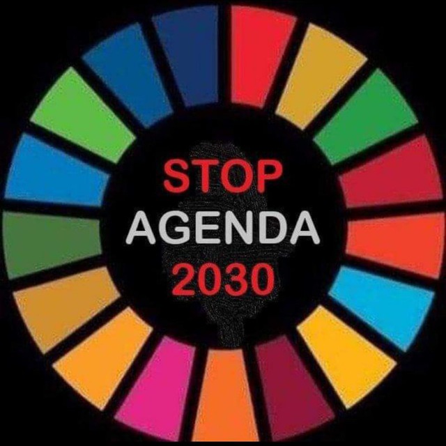 VERDADE DESMENTIRA INFORMAÇÃO