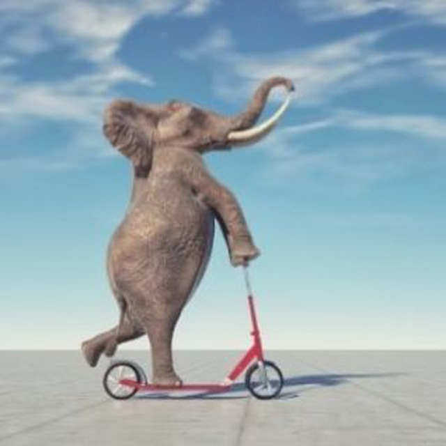 Notícias loucas 😜