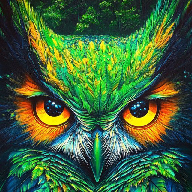 🦉GOLDEN OWL