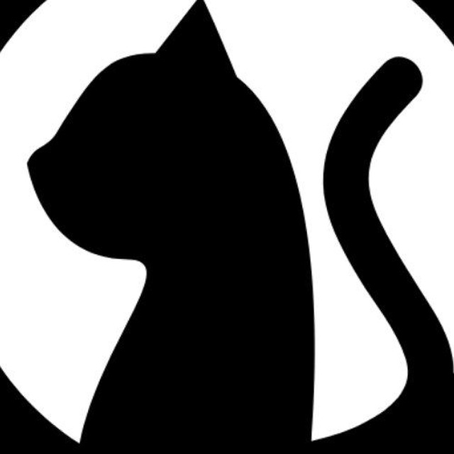 GATAVIP • VERIFICADAS