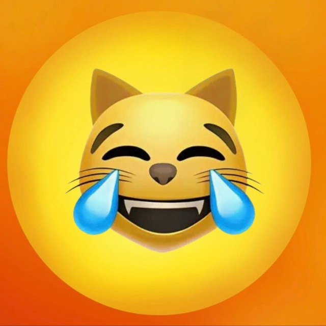$lmeow 😹 CTO