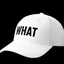 White Hat Token ( $WHAT )