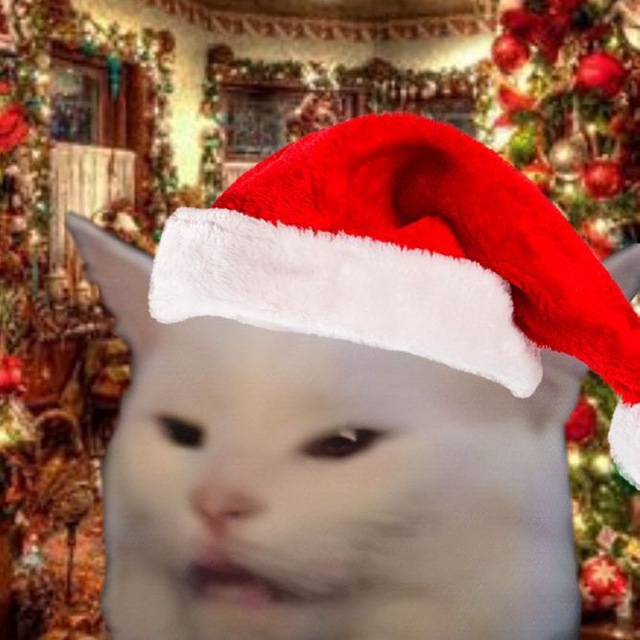 catwifsanta