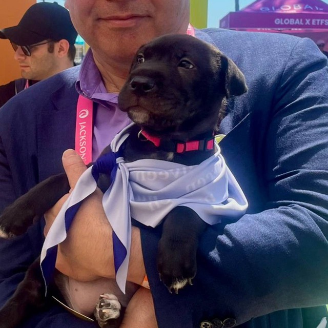 Small Cap Lee (Tom Lee's Dog)