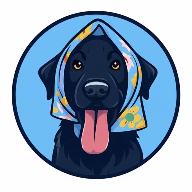 KEE the Moodeng dog | Portal