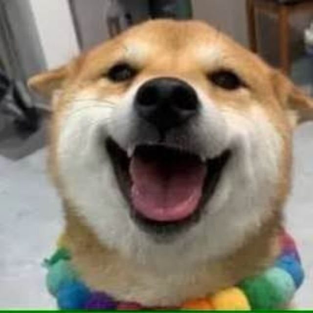 Justice for 王佩奇