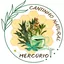 🌿CANTINHO NATURAL🌿 MERCÚRIO✡️