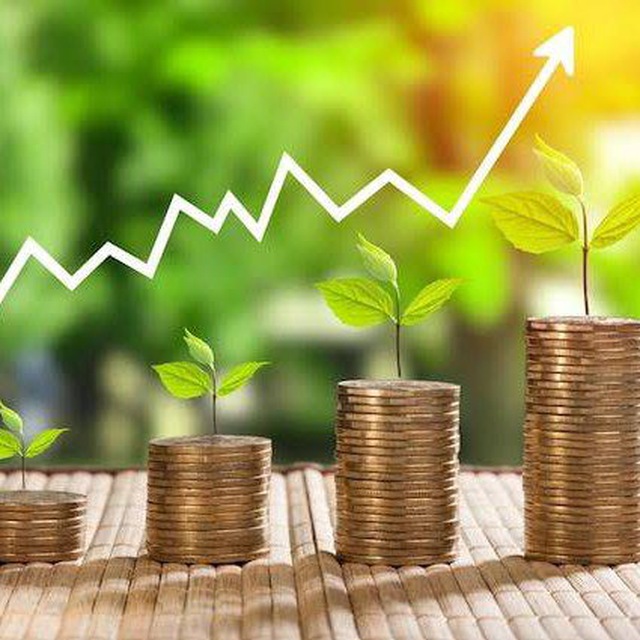 Plataforma de investimento Bitcoin legítima e real Grupo para brasileiros 💯🇧🇷