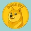 DOGE ETF