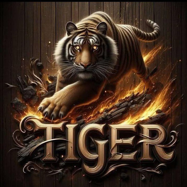 Plataformas Corretas Que Pagam